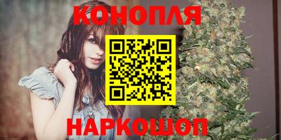 Альфа ПВП Жуковский
