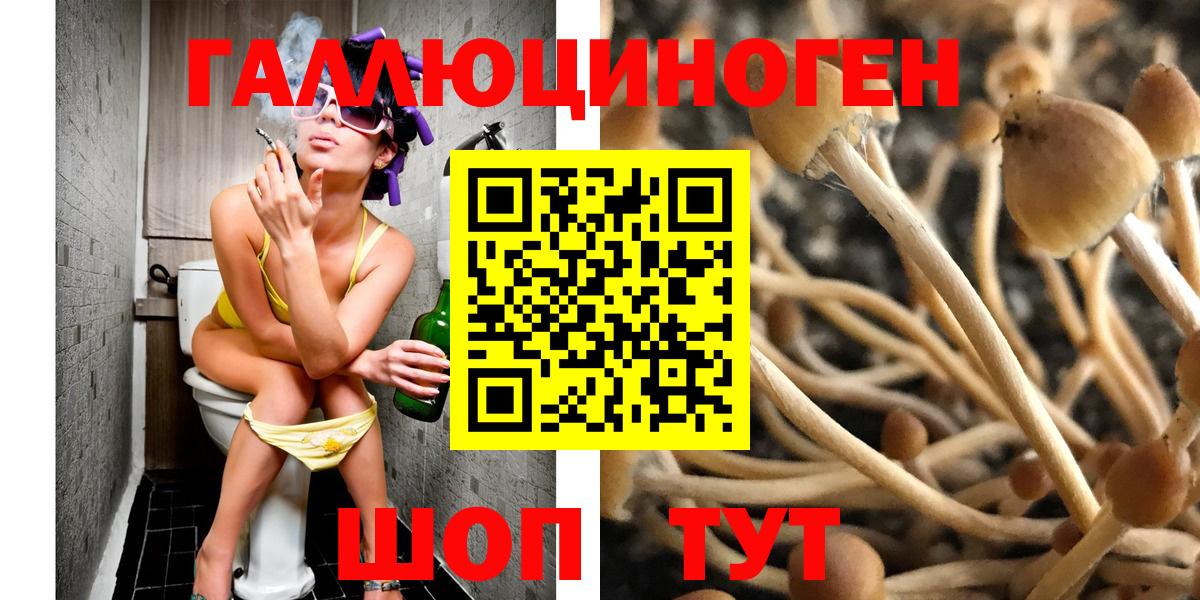 Галлюциногенные грибы Psilocybine cubensis Луга